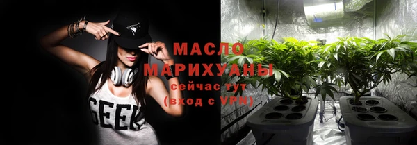 таблы Гусев