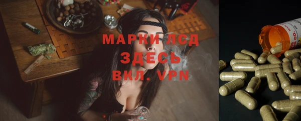 спиды Гусь-Хрустальный