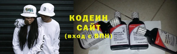таблы Гусев