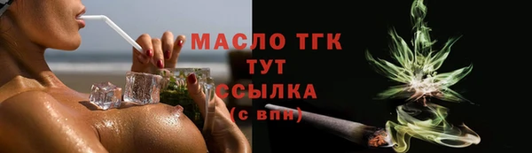 таблы Гусев