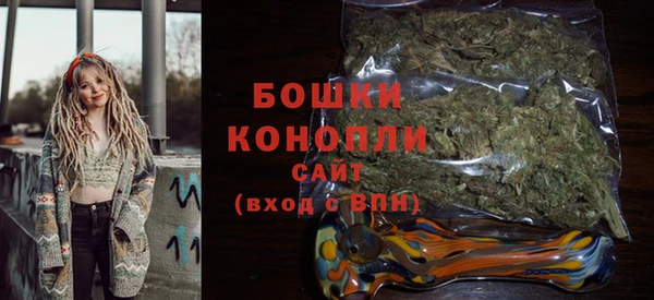 ГАЛЛЮЦИНОГЕННЫЕ ГРИБЫ Касимов