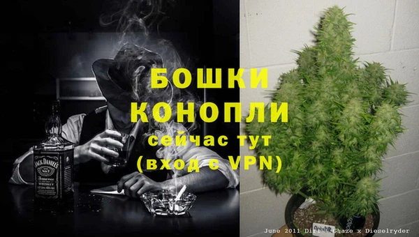 крисы Гусиноозёрск