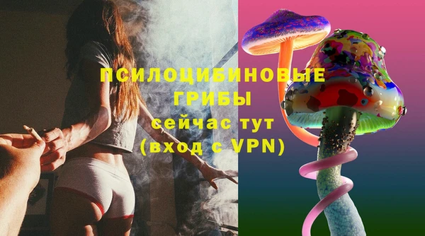 крисы Гусиноозёрск