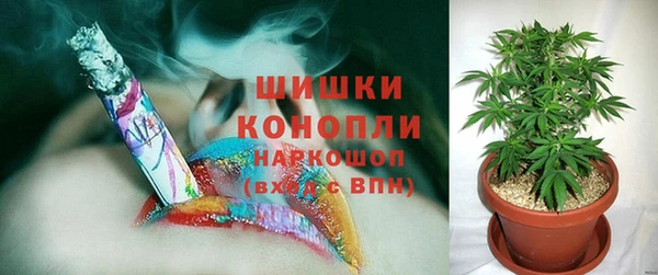 таблы Гусев