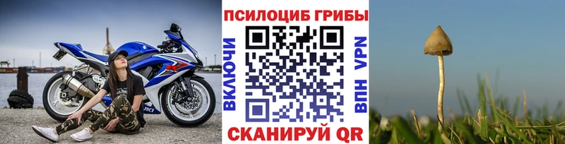Галлюциногенные грибы Magic Shrooms Мончегорск